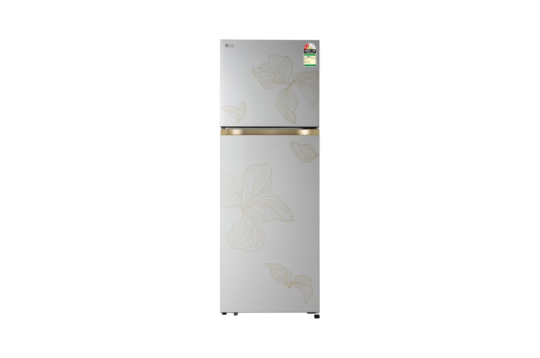 LG 251L Double Door Refrigerator with Smart Mode, Smart Inverter Compressor, Radiant Inox, 2 Star — GLT2526WWRI — product view