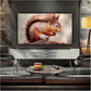 LG OLED65B56LA 65 Inch 4K OLED Smart TV (2025 Model) | α8 AI Processor, Dolby Vision & Atmos, 120Hz Refresh Rate, webOS 24, VRR, G-Sync, HDMI 2.1 |