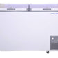 Voltas DEEP FREEZER CF 320 DD P BE