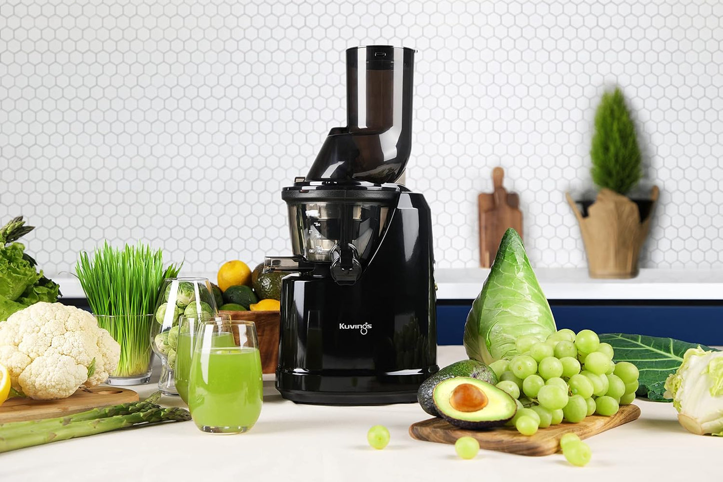 Kuvings B1700 Phantom Black Cold Press Juicer | 240W Whole Slow Juicer | JMCS 10% More Juice | 12-Year Warranty | Suraj Electronics Delhi NCR