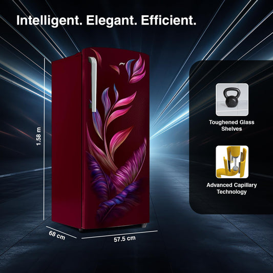 Godrej RD EMARVEL 290C THI FU WN 268L 3 Star Direct Cool Single Door Refrigerator (Fusion Wine, Inverter Compressor, Turbo Cooling, Farm Fresh Crisper) – Best Price in Delhi NCR | Suraj Electronics