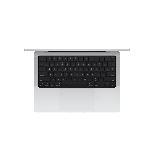 Apple MacBook Pro (14.2 inch, M4, 24GB, 1TB, macOS Sequoia, Silver)