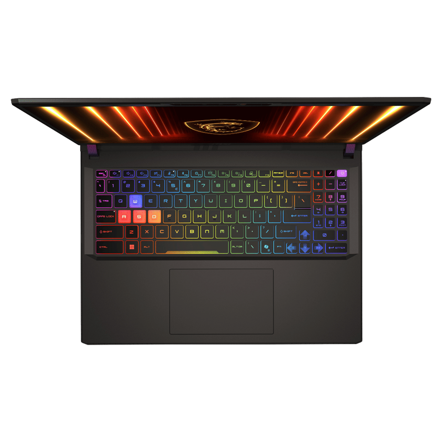 MSI Vector 16 HX AI A2XWHG Intel Core Ultra 7 255HX Gaming Laptop (32GB, 1TB SSD, Windows 11 Home, 12GB Graphics, 16 inch 240 Hz QHD Plus Display, NVIDIA GeForce RTX 5070 Ti, MS Office Home,  Cosmos Gray, 2.7 KG)