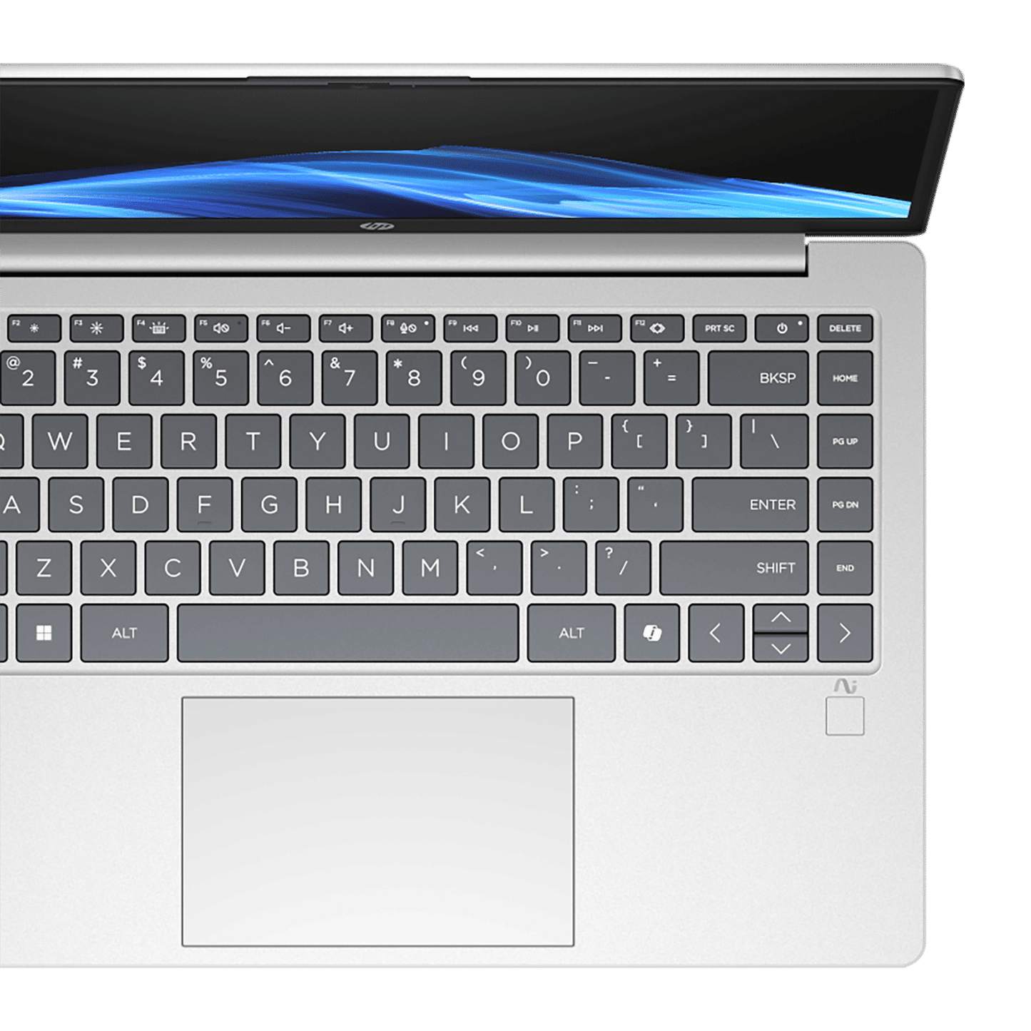 HP OmniBook 3 14-ha0000AU AMD Ryzen AI 5 Thin & Light Laptop (16GB, 512GB SSD, Windows 11 Home, 14 inch Full HD Display, Glacier Silver, 1.47 KG)