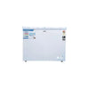 Godrej DH EPenta 325D 2HCN RW 300 L 4 Star Double Door Freezer (White)