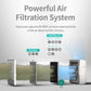 Coway Airmega 250/250S Orignal Air Purifier Replacement Filter Set, Max 2 Green True HEPA and Active Carbon Filter, AP-1720-FP