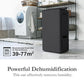 SHARP DW-T30FM-H Charcoal Gray 2-in-1 Dehumidifier with Air Purifier | 30L/Day | HEPA Filter | Plasmacluster Ion Tech | Suraj Electronics Delhi NCR