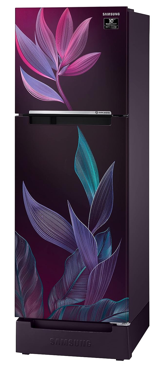 Samsung RT28C31429R/HL 236L 2 Star Inverter Frost-Free Double Door Refrigerator (Paradise Bloom Purple) Base Stand Drawer