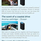 Philips ARMO40 Aroma Cartridge for GoPure Style 7611 Car Air Purifier