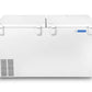 Blue Star CF3-300MPW Double Door Deep Freezer (284 L, White)