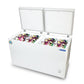 Blue Star CF3-300MPW Double Door Deep Freezer (284 L, White)