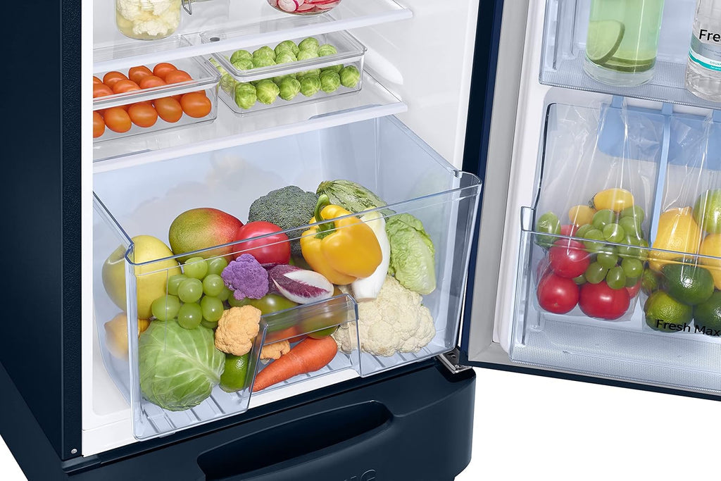 Samsung RR26C3893CU/HL 246L 3 Star Inverter Direct-Cool Single Door Refrigerator Appliance (Camellia Blue) Base Stand Drawer