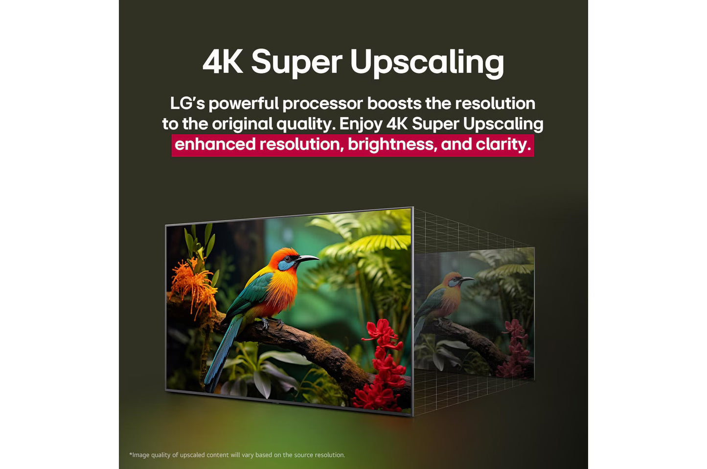 LG 43QNED8BA6A 43-Inch 4K QNED Smart TV  | α7 AI Processor Gen8 | Dolby Atmos | Filmmaker Mode | Suraj Electronics Delhi NCR