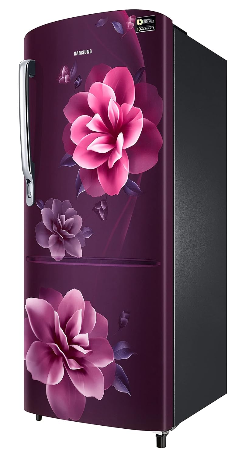 Samsung RR24C2723CR/NL 223L 3 Star Inverter Direct-Cool Single Door Refrigerator Appliance (Camellia Purple)