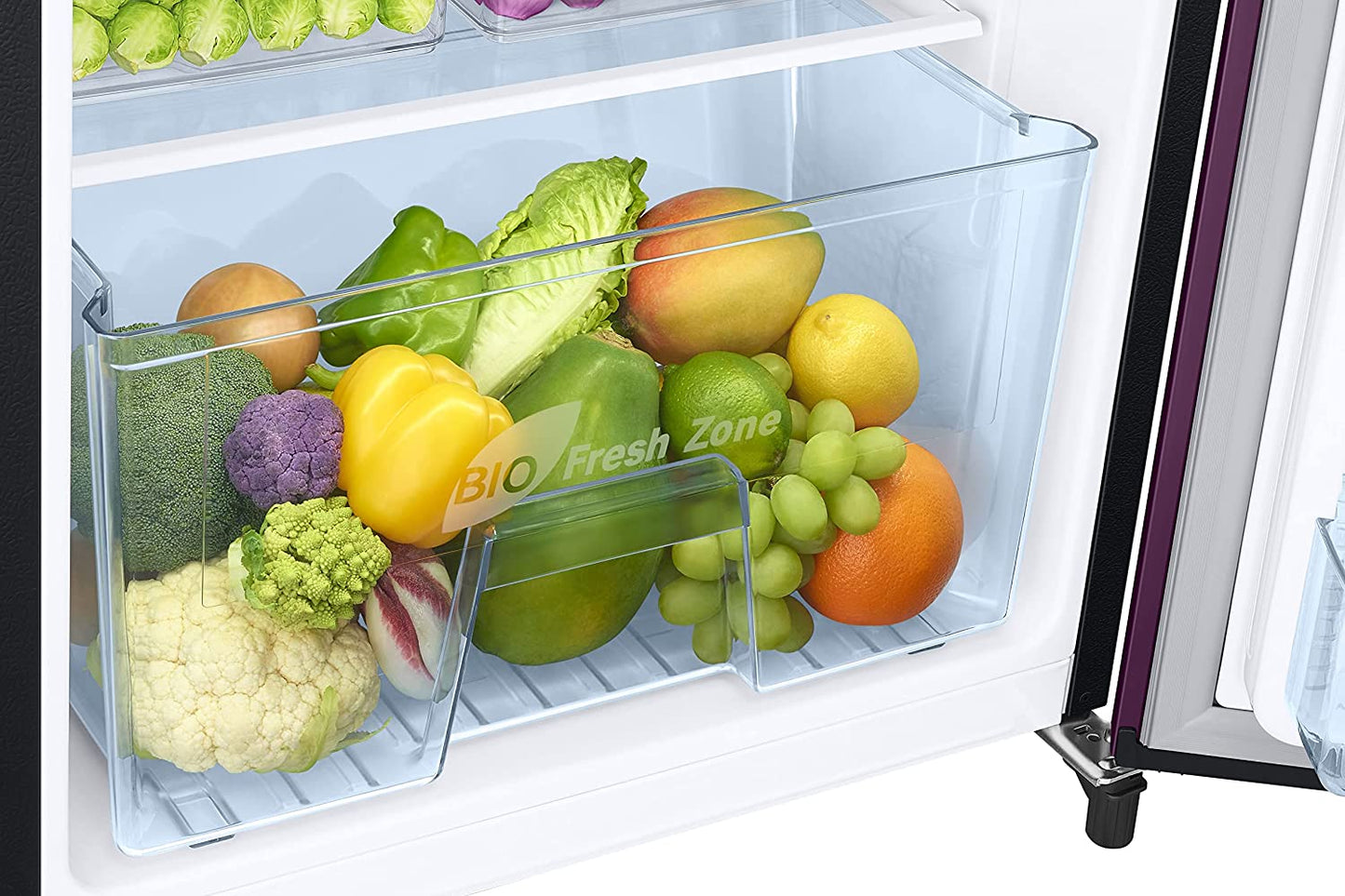 Samsung RR20C2723CR/NL 184L 3 Star Single Door Refrigerator | Direct Cool | Digital Inverter Compressor | Camellia Purple | Base Drawer | Toughened Glass Shelves | 20-Year Warranty | Made in India