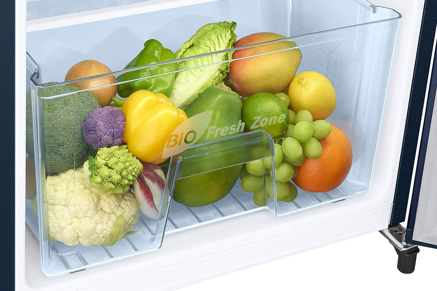 Samsung RR24C2723CU/NL 223L 3 Star Inverter Single Door Refrigerator (Camellia Blue) | Digital Inverter, Solar Compatible, Toughened Glass Shelves