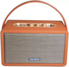 Aiwa RS-X100 Natsukasii Pro 40W Bluetooth Speaker | Retro Wooden Design | DSP &amp; TWS | Suraj Electronics Delhi NCR