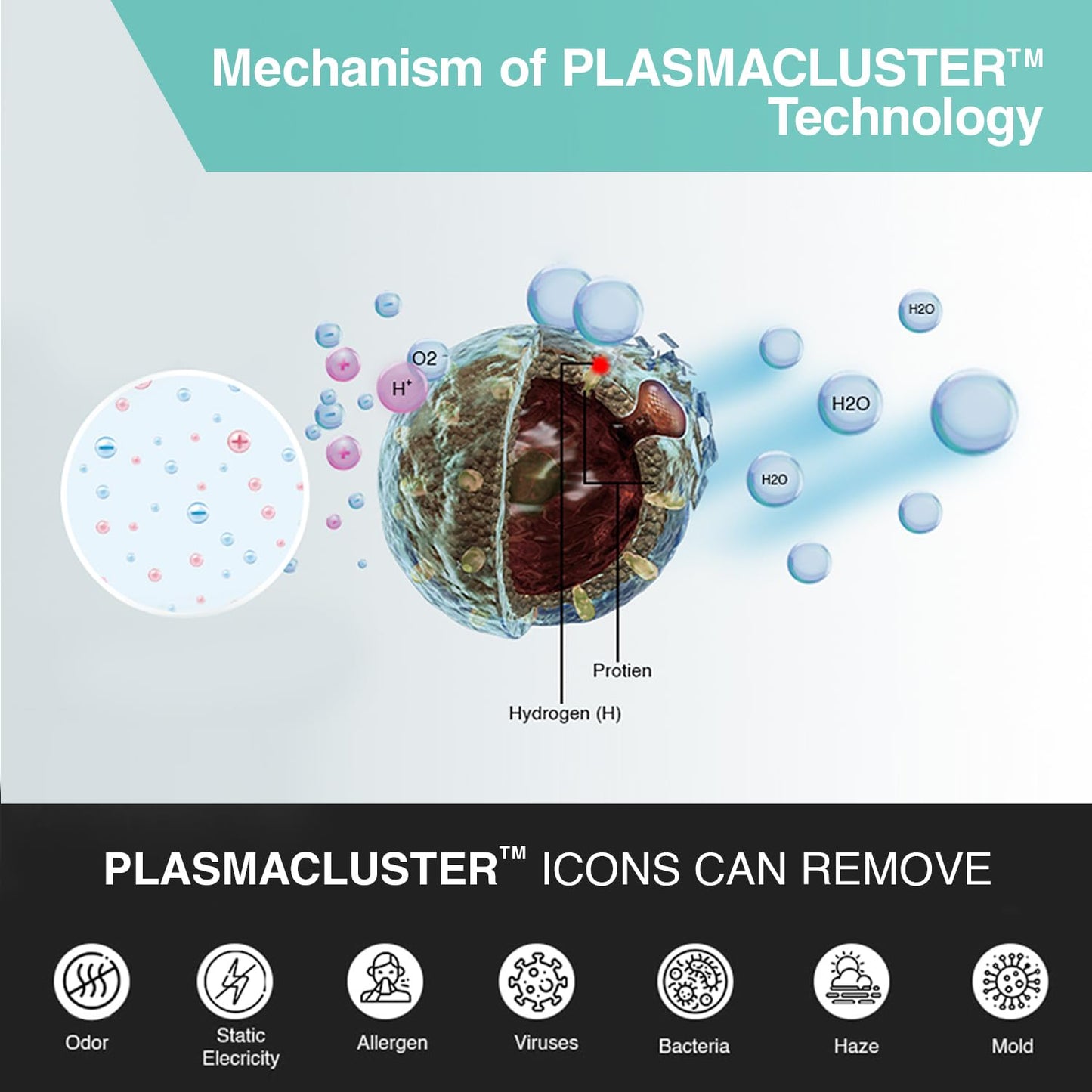 Sharp KC-F30E-W Plasmacluster Air Purifier with Humidifier (226 Sq. Ft.) – True HEPA | Buy Online Delhi NCR | Suraj Electronics