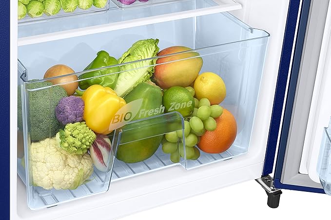 Samsung RR20C2723CU/NL 183 L, 3 Star, Digital Inverter, Direct-Cool Single Door Refrigerator,( Camellia Blue )