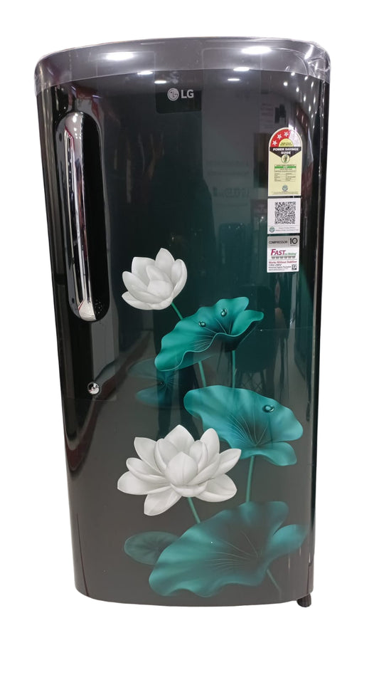 LG GL-B231AELD 210L Direct Cool Single Door 3 Star Refrigerator with Fast Ice Making Color Emerald Lotus