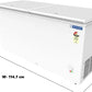 Blue Star CF3-300MEW 301L Double Door Deep Freezer | 3 Star Energy Rating | Heavy-Duty Commercial Chest Freezer with Lock & Wheels