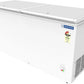 Blue Star CF3-300MEW 301L Double Door Deep Freezer | 3 Star Energy Rating | Heavy-Duty Commercial Chest Freezer with Lock & Wheels