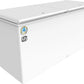 Blue Star CF3-300MEW 301L Double Door Deep Freezer | 3 Star Energy Rating | Heavy-Duty Commercial Chest Freezer with Lock & Wheels