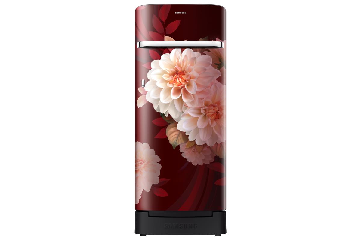 Samsung 215 L Single Door Refrigerator with Horizontal Curve Design, 4★ RR23H2H34BR — RR23H2H34BR/HL — product view