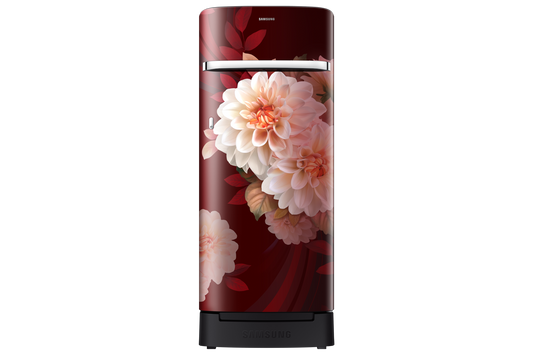 Samsung 215 L Single Door Refrigerator with Horizontal Curve Design, 4★ RR23H2H34BR — RR23H2H34BR/HL — product view