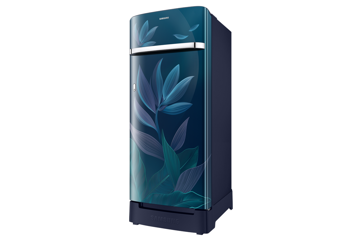 Samsung 215 L Single Door Refrigerator with Horizontal Curve Design, 5★ RR23H2H359U — RR23H2H359U/HL — product view
