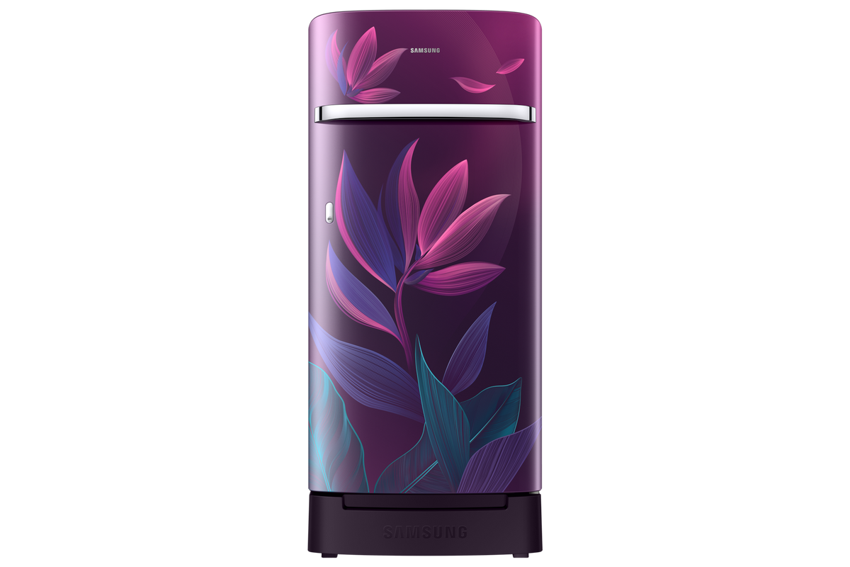Samsung 189 L Single Door Refrigerator with Horizontal Curve Design, 5★ RR21H2H259R — RR21H2H259R/HL — product view