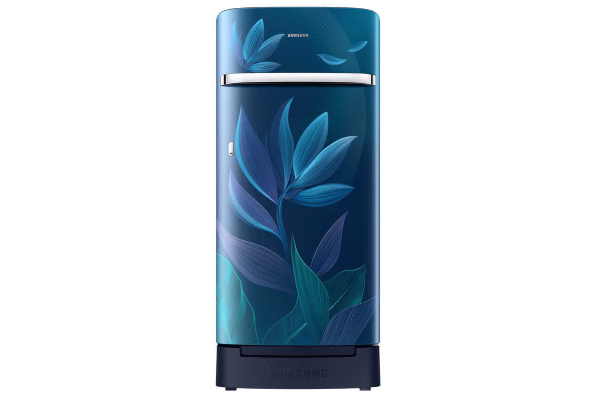 Samsung 189 L Single Door Refrigerator with Horizontal Curve Design, 5★ RR21H2H259U — RR21H2H259U/HL — product view