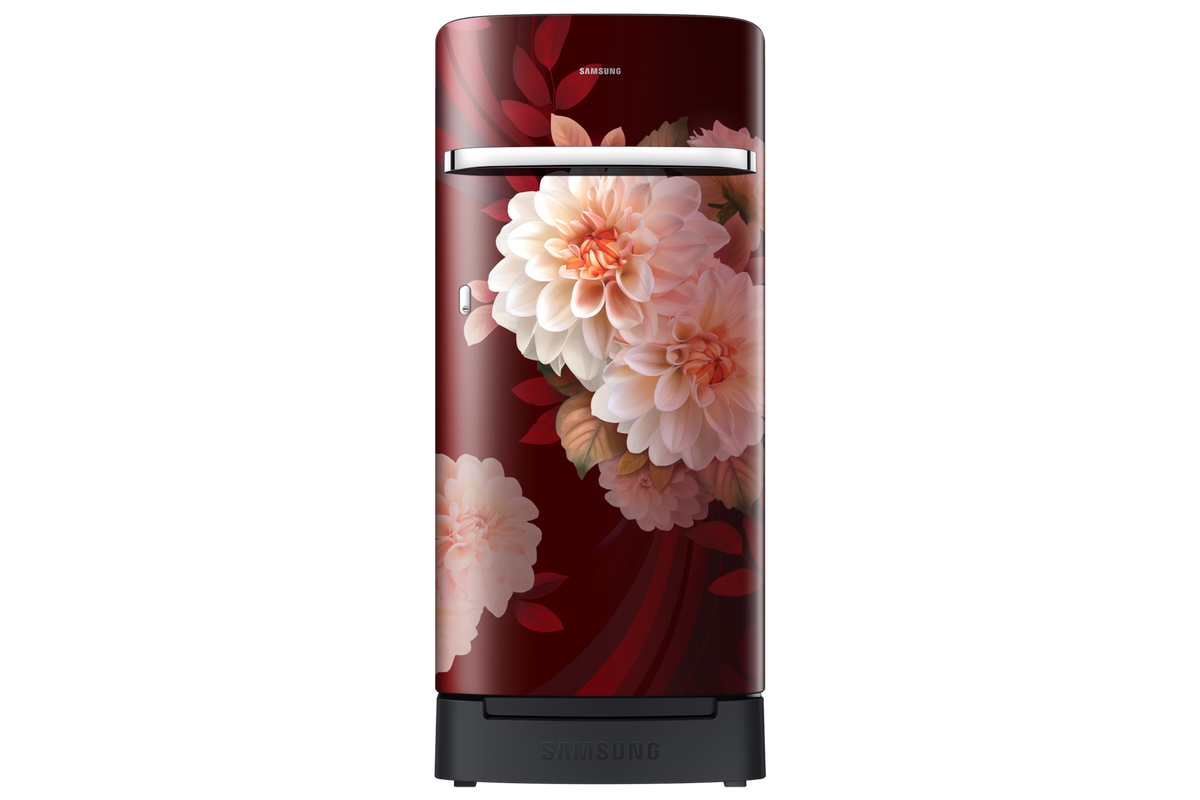 Samsung 189 L Single Door Refrigerator with Horizontal Curve Design, 5★ RR21H2H25BR — RR21H2H25BR/HL — product view
