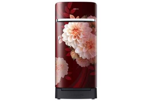 Samsung 189 L Single Door Refrigerator with Horizontal Curve Design, 5★ RR21H2H25BR — RR21H2H25BR/HL — product view