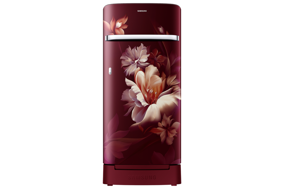Samsung 189 L Single Door Refrigerator with Horizontal Curve Design, 5★ RR21H2H25RZ — RR21H2H25RZ/HL — product view