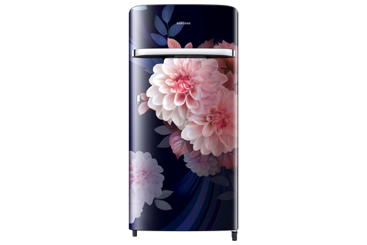 Samsung 189 L Single Door Refrigerator with Horizontal Curve Design, 5★ RR21H2G25BB — RR21H2G25BB/HL — product view