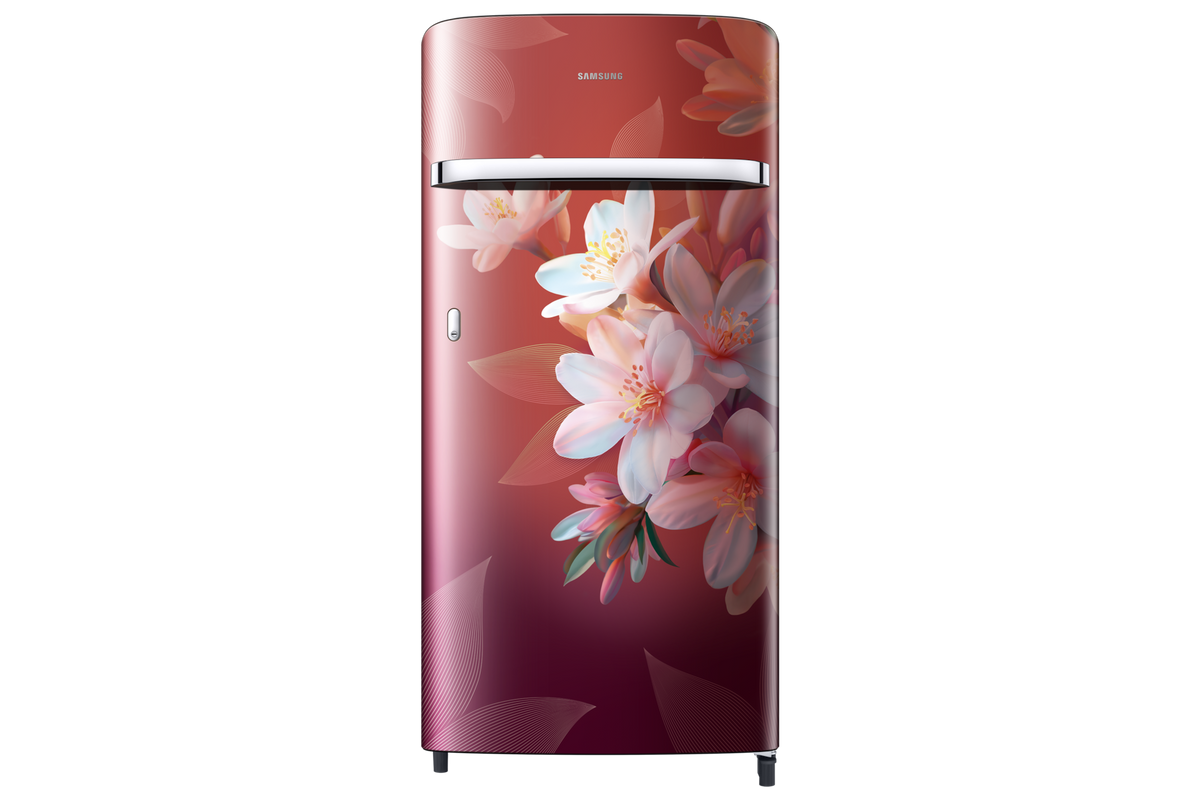 Samsung 189 L Single Door Refrigerator with Horizontal Curve Design, 5★ RR21H2G25WR — RR21H2G25WR/HL — product view