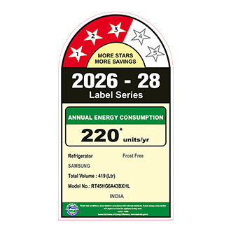 Samsung 419 L Double Door Refrigerator with Bespoke AI, 3★ RT45HG6A43BX — RT45HG6A43BXHL — alternate view