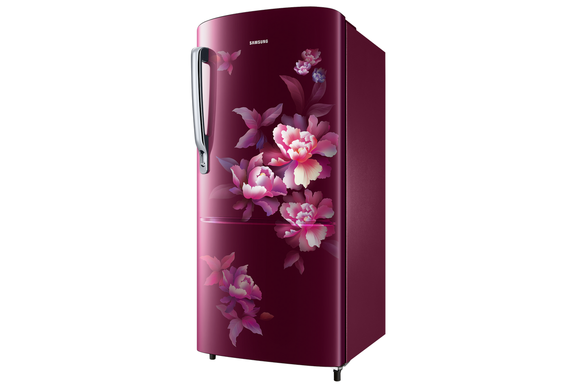 Samsung 183 L Single Door Refrigerator with Stylish Grandé Design, 2★ RR20H2712HN — RR20H2712HN/NL — product view