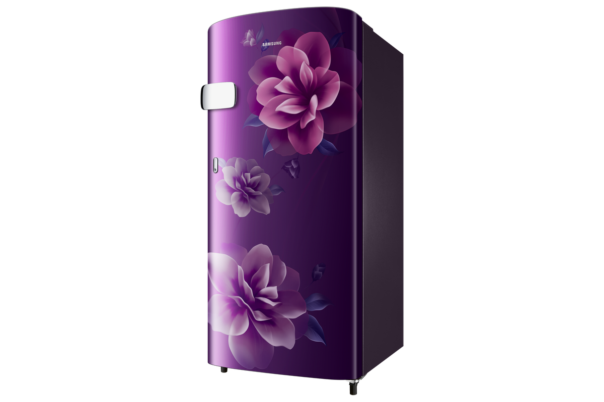 Samsung 183 L Single Door Refrigerator with Stylish Grandé Design, 1★ RR19H2YC1CR — RR19H2YC1CR/NL — product view