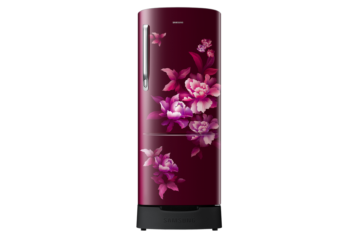 Samsung 183 L Single Door Refrigerator with Stylish Grandé Design, 2★ RR20H1812HN — RR20H1812HN/HL — product view