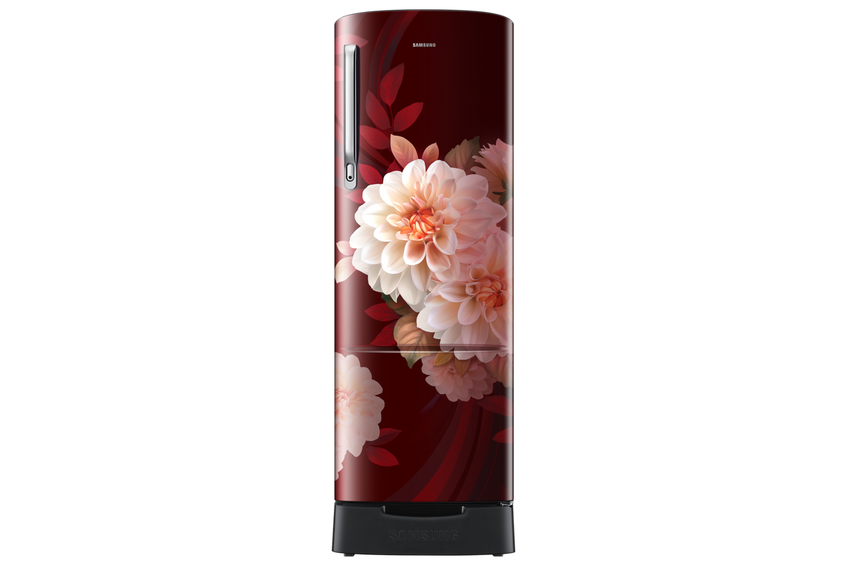 Samsung 246 L Single Door Refrigerator with Stylish Grandé Design, 2★ RR26H3832BR — RR26H3832BR/HL — product view