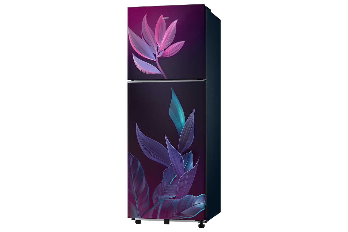 Samsung 236 L Double Door Refrigerator with Convertible Freezer, 2★ RT40H28U2PR — RT40H28U2PRHL — product view