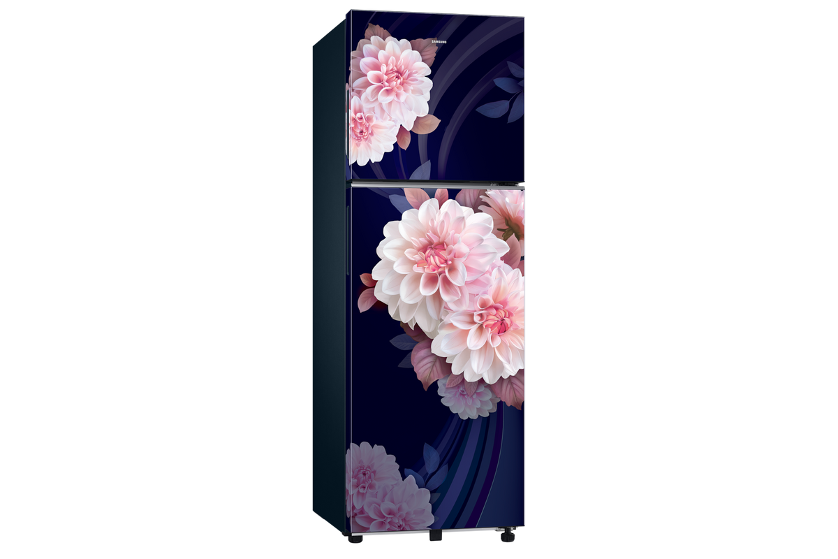 Samsung 256 L Double Door Refrigerator with Convertible Freezer, 2★ RT40H30U2BB — RT40H30U2BBHL — product view