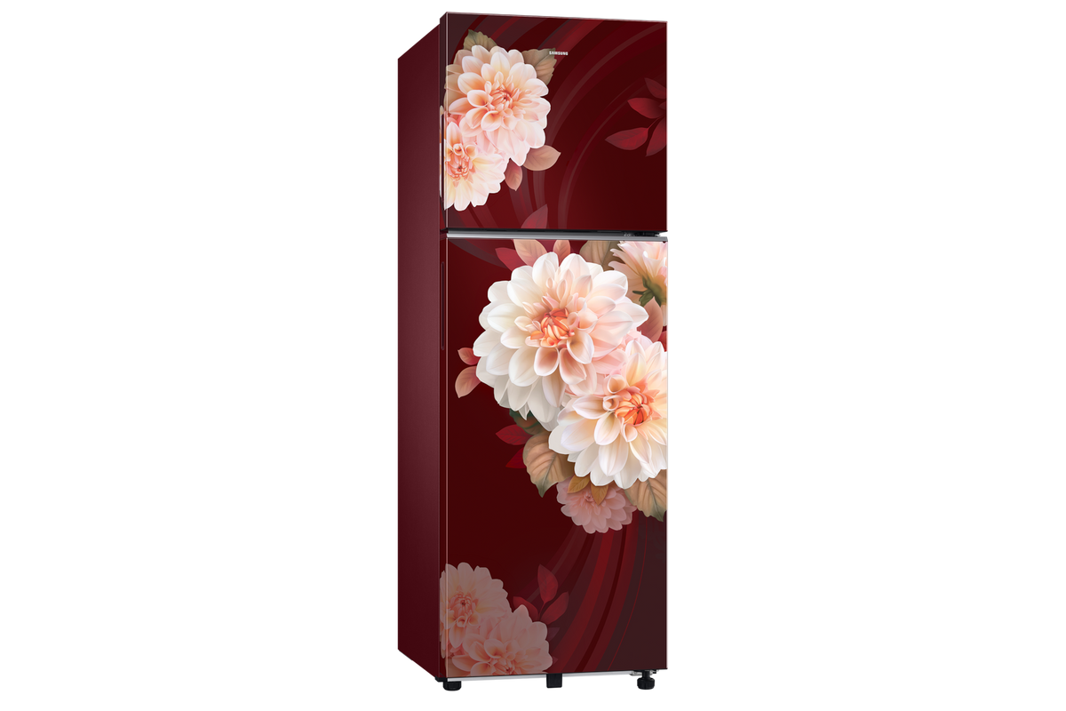 Samsung 256 L Double Door Refrigerator with Convertible Freezer, 2★ RT40H30U2BR — RT40H30U2BRHL — product view