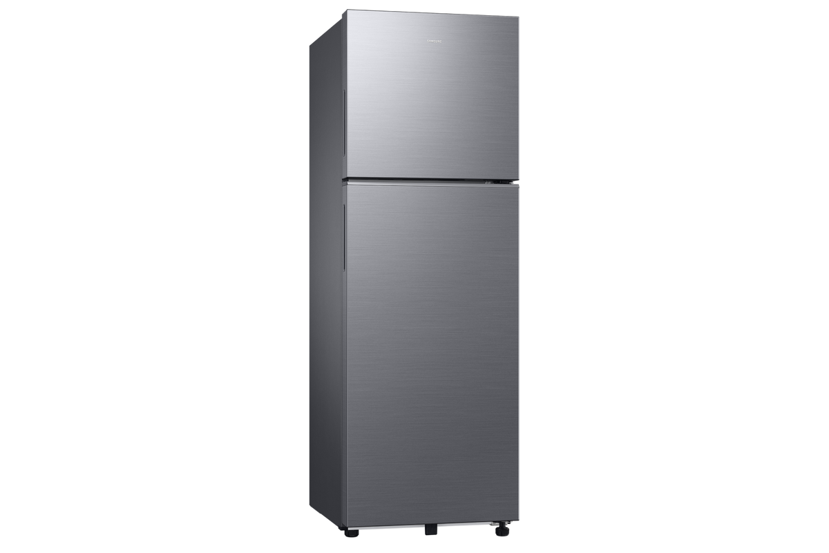 Samsung 256 L Double Door Refrigerator with Convertible Freezer, 2★ RT40H30U2P — RT40H30U2PNL — product view