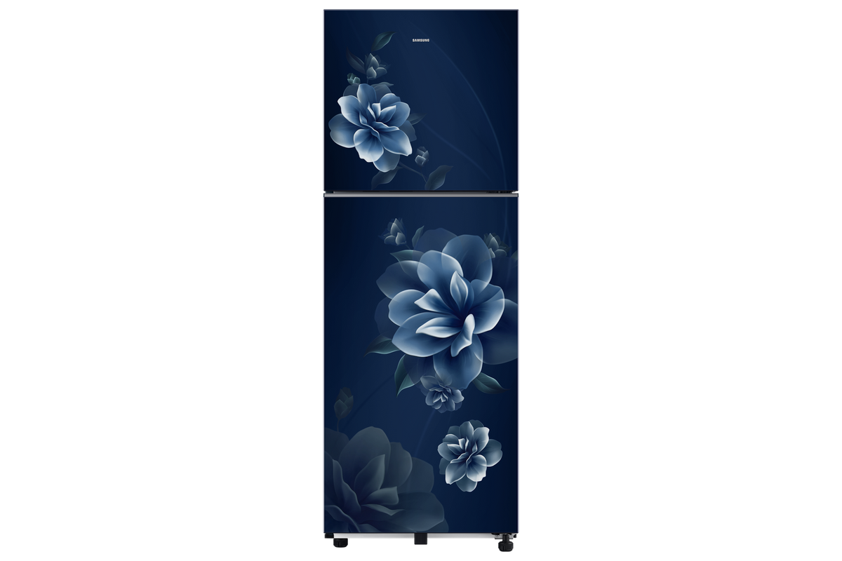 Samsung 236 L Double Door Refrigerator with All Around Cooling, 1★ RT40H28W1CB — RT40H28W1CBNL — product view