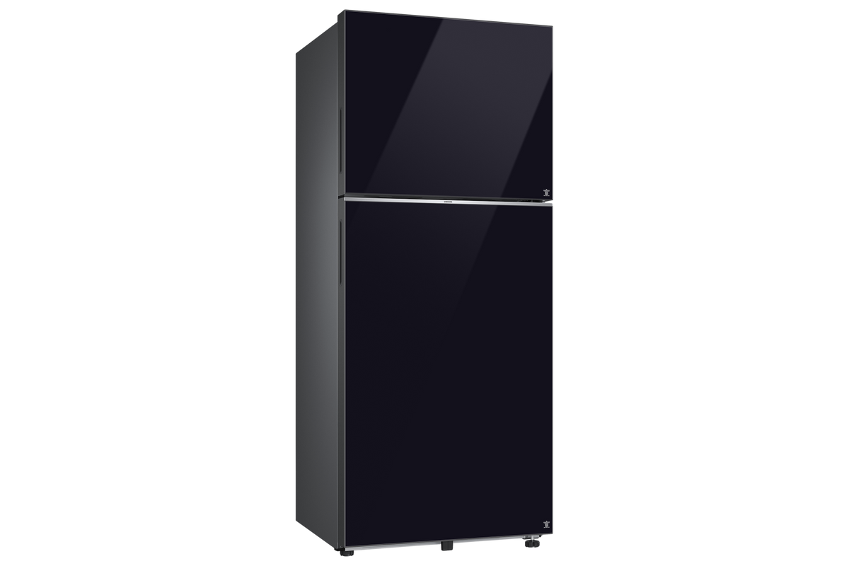 Samsung 396 L Double Door Refrigerator with Bespoke AI, 2★ RT41HB6A4222 — RT41HB6A4222HL — product view