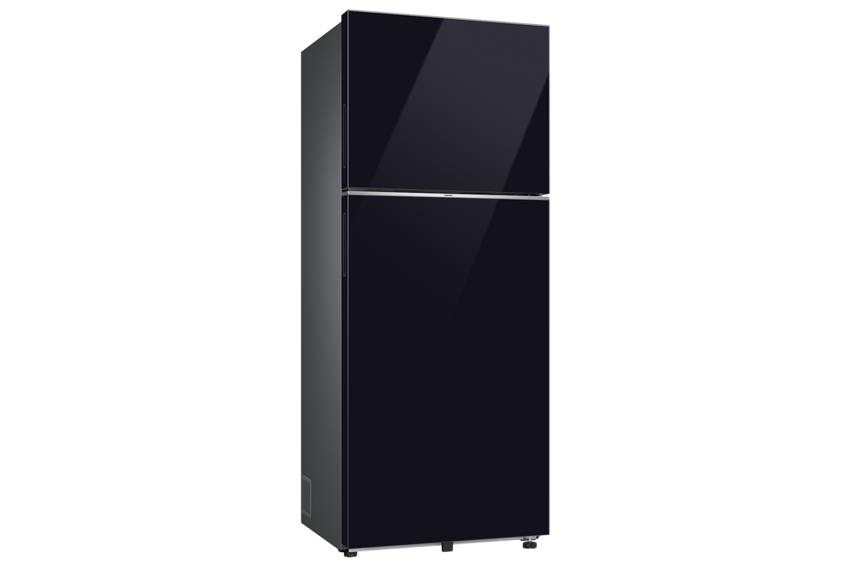 Samsung 419 L Double Door Refrigerator with Bespoke AI, 2★ RT45HB6A4222 — RT45HB6A4222HL — product view