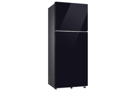Samsung 419 L Double Door Refrigerator with Bespoke AI, 2★ RT45HB6A4222 — RT45HB6A4222HL — product view